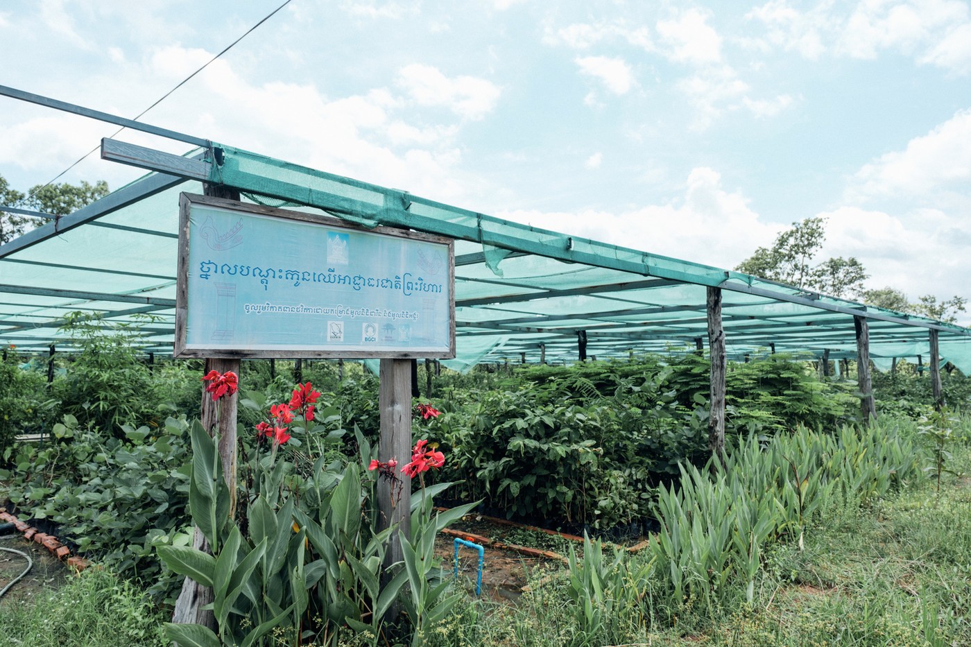 Natural Flower Garden